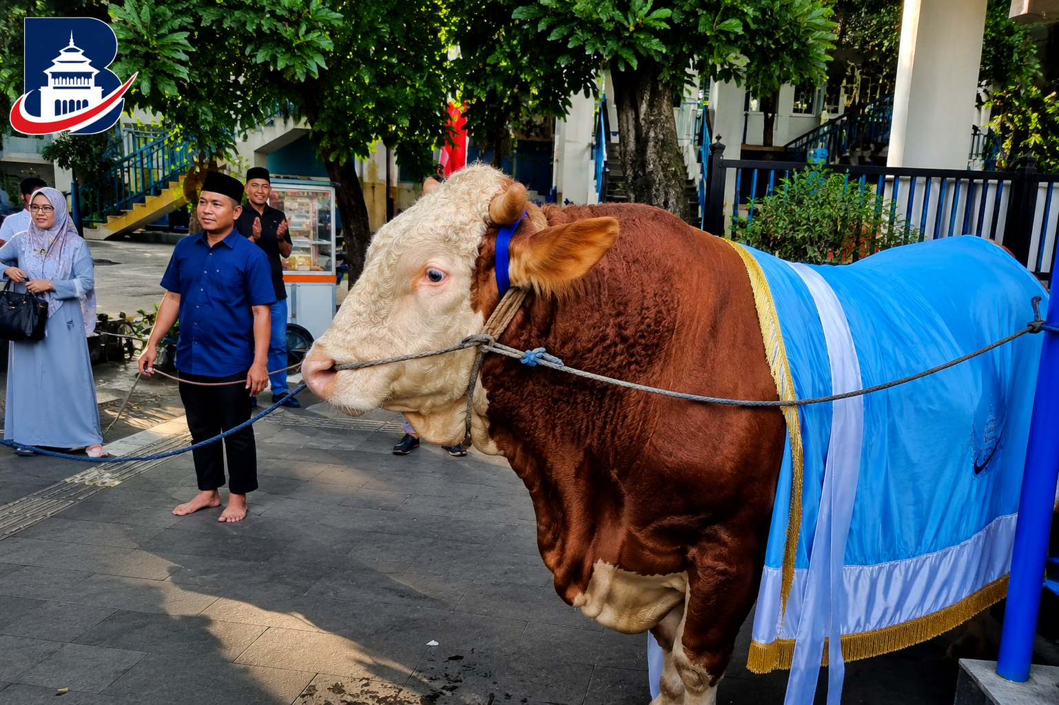 Sapi Kurban Presiden Prabowo dari Bandung Berbobot 1,2 Ton